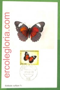 32419 - Netherlands NEW GUINEA - MAXIMUM CARD - Butterflies-