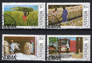 ZAYIX South Africa Venda 56-59 CTO Sisal Cultivation Farming Industry 092022S97M