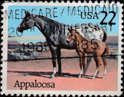 # 2158 USED APPALOOSA