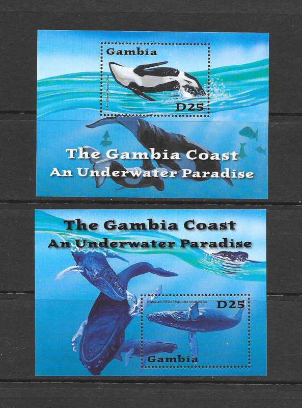 WHALES -  GAMBIA #2518-19  MNH