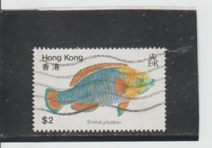 Hong Kong  Scott#  372  Used  (1981 Blue-Barred Parrotfish)