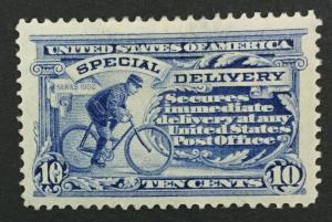 MOMEN: US #E8 MINT OG H #27283