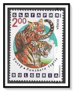 Bulgaria #3740 Wild Cats MNH