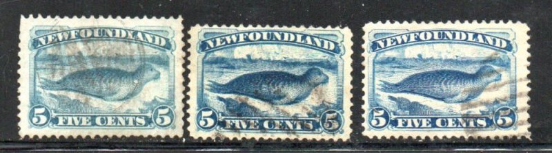 Newfoundland Sc 53-55 1880-1894 5c seal stamps used