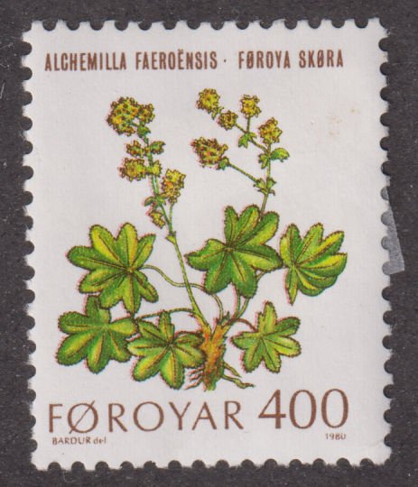 Faroe Islands 52 Lady’s Mantle 1980