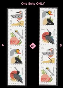 US 4991-4994 4994a Coastal Birds postcard rate strip 4 MNH 2015