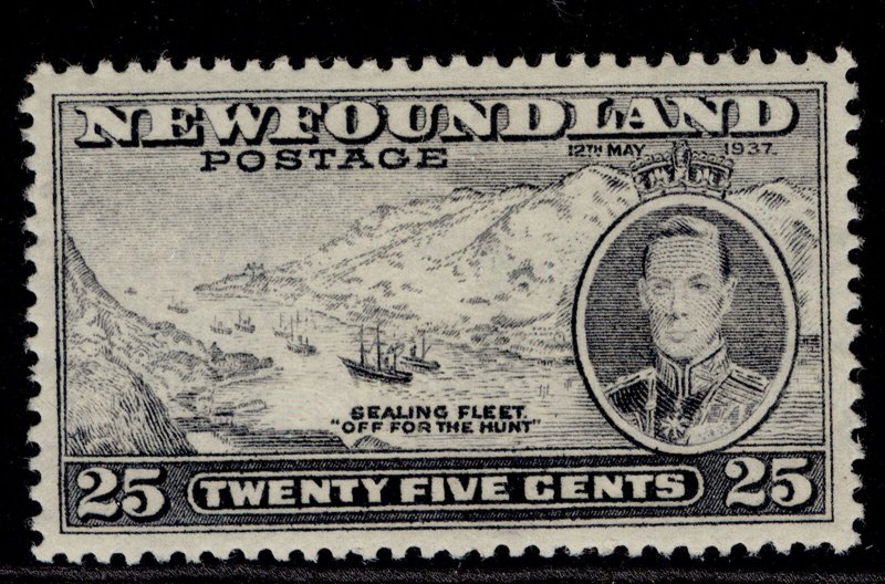 CANADA - Newfoundland GVI SG266, 25c slate, M MINT. 