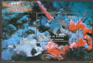 GUINEA 2009 MARINE LIFE FISH SHEET MNH