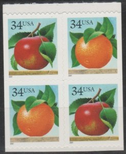 3493-94d,  BLK-4 Apple & Orange  MNH, '.34 cent' (3)