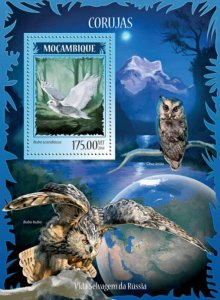 Mozambique 2014 Fauna of Russia - Owls Stamp  S/S 13A-1516