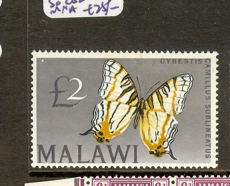 MALAWI  (P2605B) A 2L BUTTERFLY!  SG262   MNH