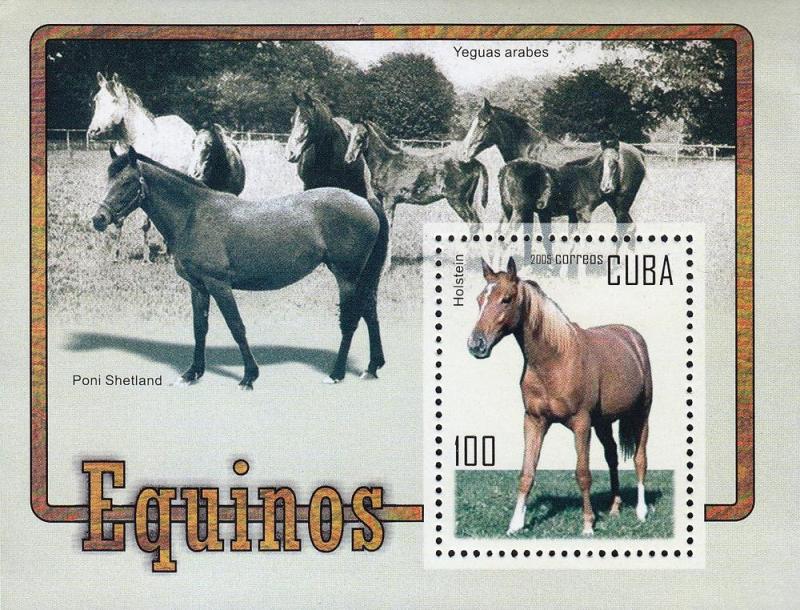 G)2005CUBA, HORSES, ARABIAN MARES- SHETLAND PONY-HOLSTEIN, S