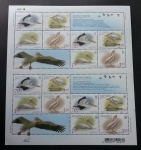 *FREE SHIP Ukraine WWF Birds Pelican 2007 Fauna Wildlife (sheetlet) MNH