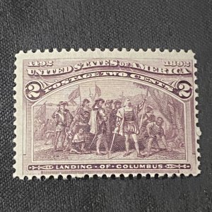 US Stamp Scott # 231 2c Columbian BROKEN FRAME LINE - Mint OG Never Hinged MNH