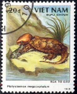 Big-headed Turtle, Vietnam stamp SC#1967 used