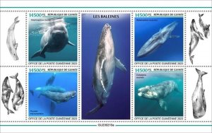 Guinea - 2023 Whales, Beluga Whale, Southern Right - 4 Stamp Sheet - GU230210a