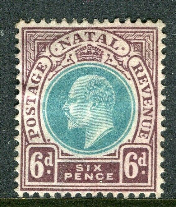 NATAL; 1904 early Ed VII issue fine Mint hinged Shade of the 6d. value