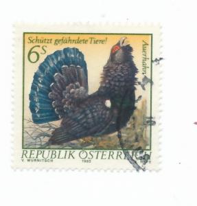 Austria 1982 Scott 1223 used - Endangered species, Capercaillie