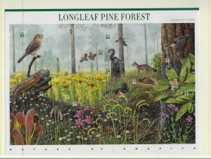 US #3611 2002 LONGLEAF PINE FOREST PANE OF 34 CENT STAMPS - MINT NEVER HINGED