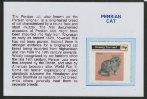 PERSIAN CAT mounted on glossy card with text