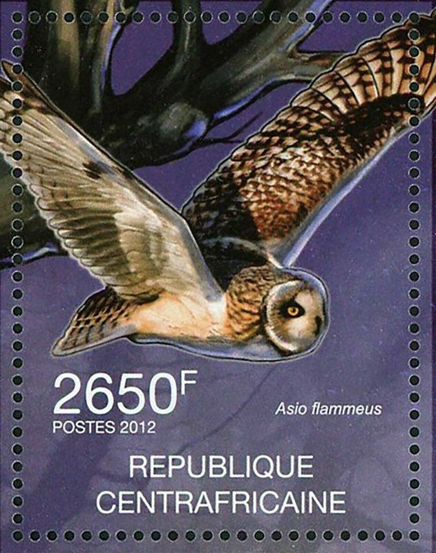 Owls Stamp Birds Asio Flammeus Asio Otus Strix Varia S/S MNH #3632-3635 