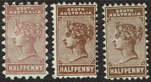 SOUTH AUSTRALIA 1883 QV 1/2D PERF 10, 13 AND 15 