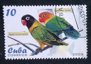 CUBA Sc# 4467  PARROTS tropical birds  10c    2005  used / cto