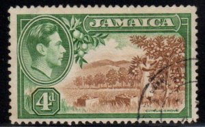 Jamaica Scott No. 122