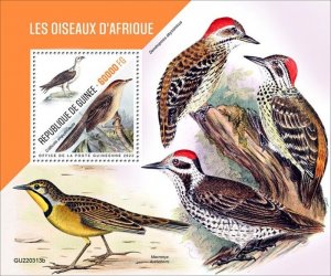 Guinea - 2022 African Birds, Cisticola - Stamp Souvenir Sheet - GU220313b