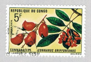 Congo PR 225 Used Flowers 1970 (BP62910)