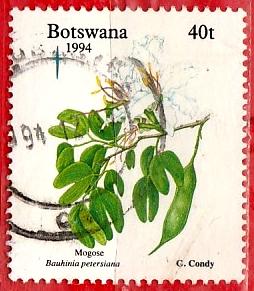 Botswana 1994 SG. 799 used (7243)