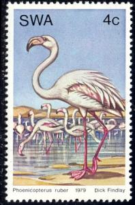 Greater Flamingoes, Water Bird, South West Africa SC#429 MNH