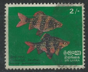 Sri Lanka 1972 - 2r Black Ruby Barb - SG597 used