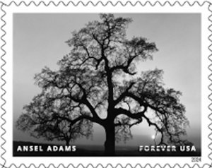 US 5854a-5854p Ansel Adams F set 16 MNH 2024 after May 25