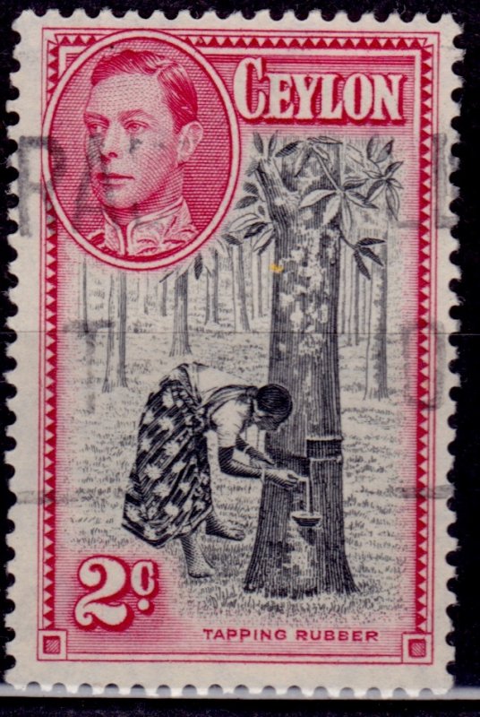 Ceylon 1938-52, KGVI Tapping Rubber Tree, 2c, sc#278, used