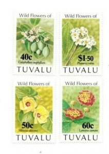 FULL SHEETS Tuvalu 1993 SC 625-8 - Wild Flowers - 4 Sheets of 40 - MNH