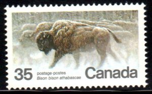 Canada #884   MNH