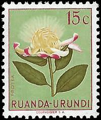 RUANDA-URUNDI   #115 MH (1)