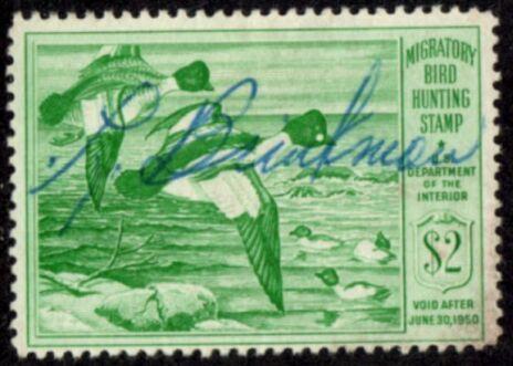 US Stamp #RW16 - Pair of Great Goldeneye Ducks in Flight