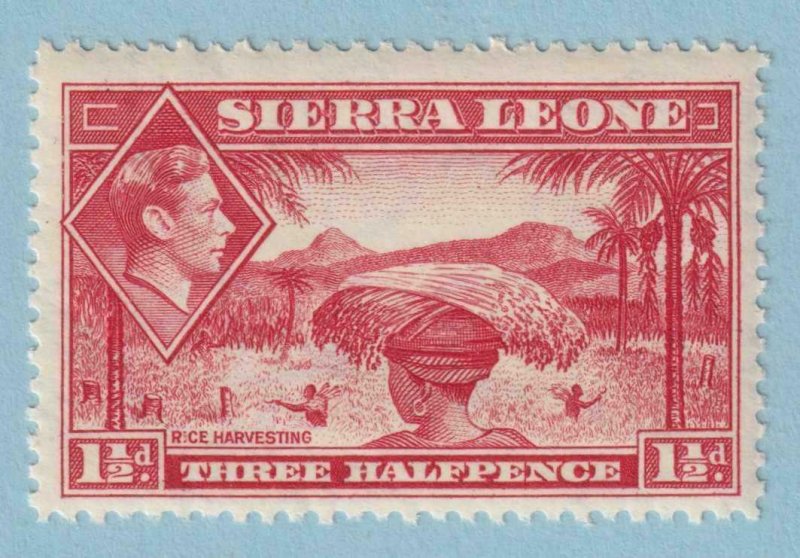 SIERRA LEONE 175  MINT NEVER HINGED OG ** NO FAULTS VERY FINE! - JPG