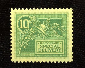 HS&C: Scott #E7 10 cent Special Delivery Mint VF/XF VLH US Stamp