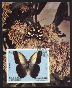 Sharjah & Dependencies   Air Mail  Butterfly NH VF  PD