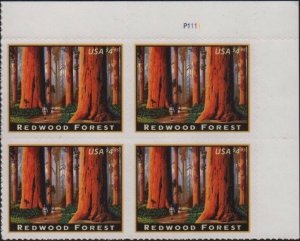 Redwood Forest Issue 2009 Plate Block of Four $4.95 Stamps Scott 4378