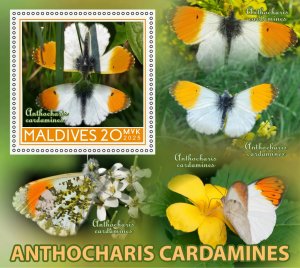 Stamps.Fauna, Butterflies  2025 year 8 sheets perforated