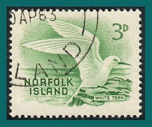 Norfolk Island 1961 White Tern, used #31,SG26