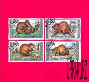 MONGOLIA 1989 Nature Fauna Animals Beavers 4v Sc1758-1761 Mi2021-2024 CTO OG