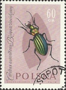 POLAND - 1033 - Used - SCV-0.25