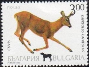 Bulgaria 3800 - Mint-NH - 3L Roe Deer (1993) (cv $0.50)