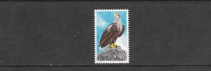 BIRDS - ICELAND SEA EAGLE #378