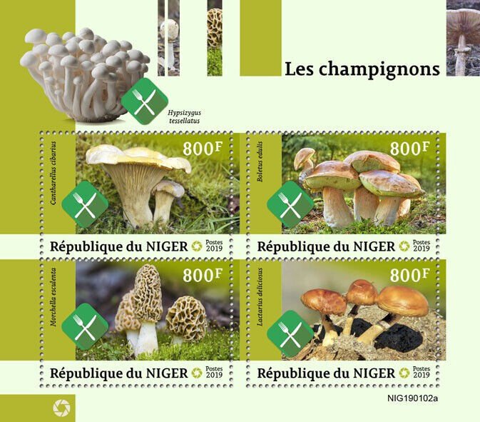 Niger 2019 MNH Mushrooms Stamps Boletus Morchella Lactarius Fungi Nature 4v M/S